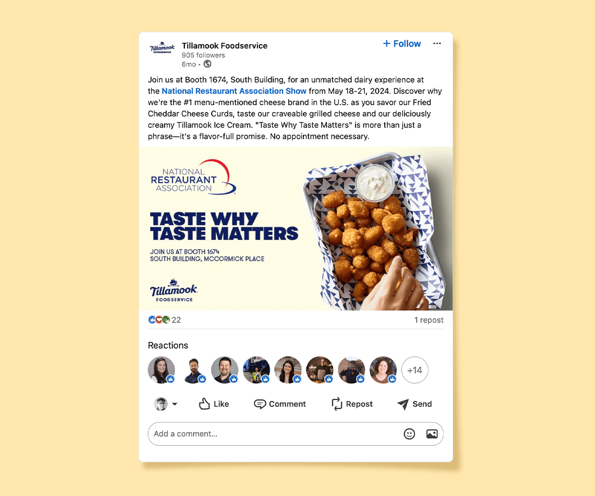 Tillamook LinkedIn targeted campaign example.