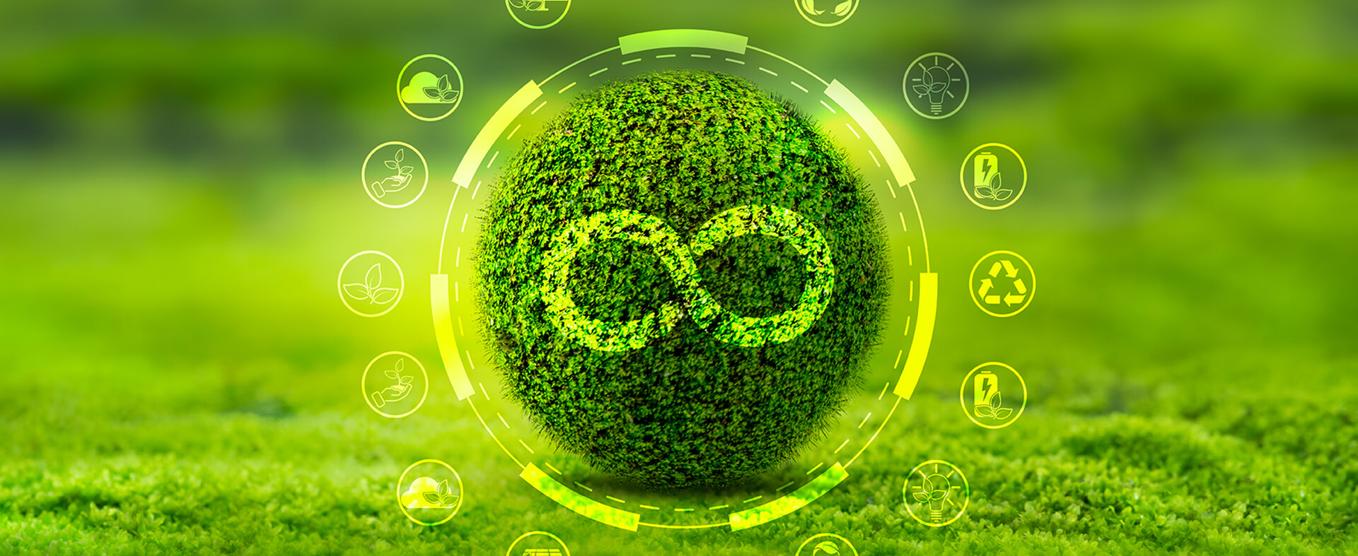 Sustainable Farming Image for Weekly Roundup