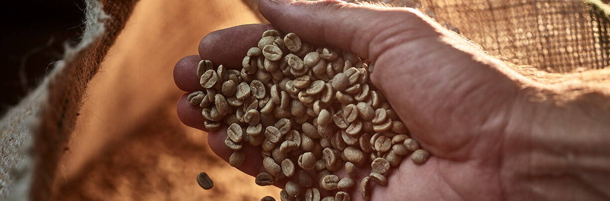Coffee Beans may be in short supply