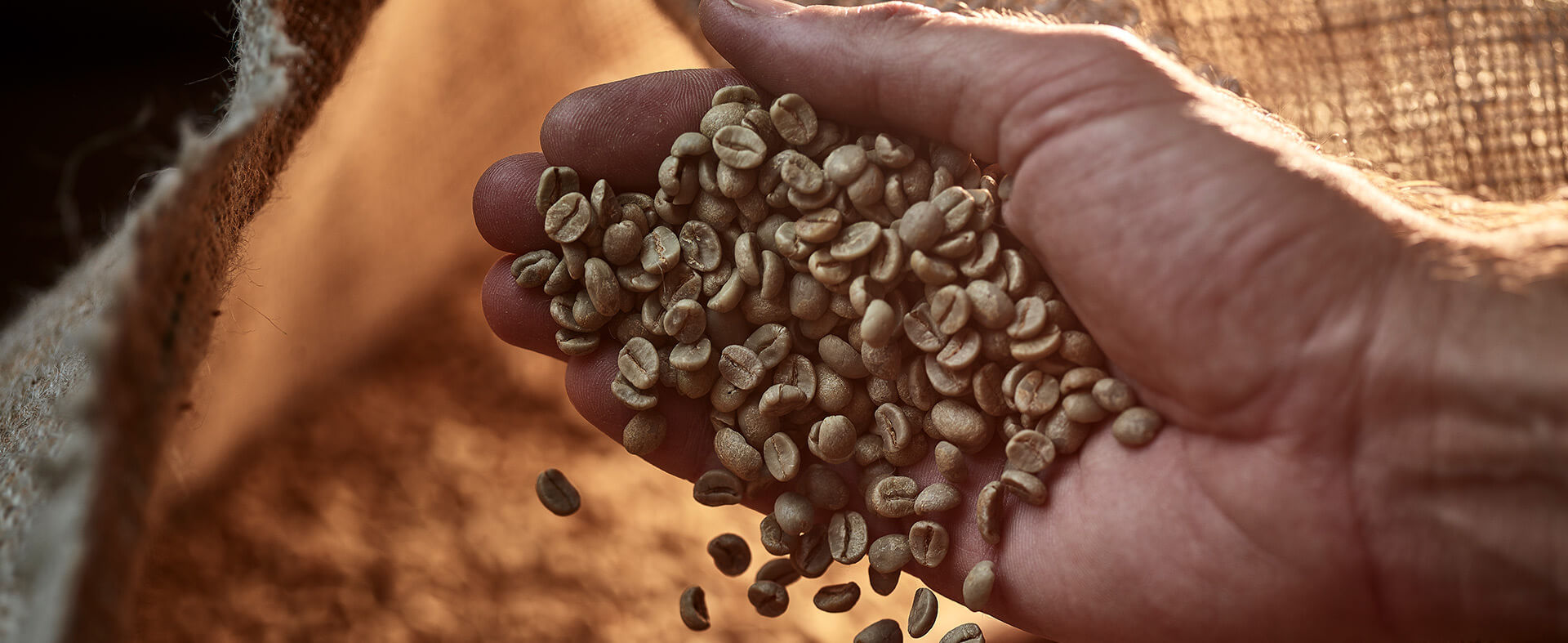 Coffee Beans may be in short supply