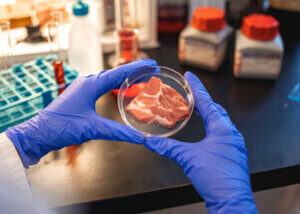 By providing a scalable solution for producing meat, cultured meat technology can help feed growing populations, particularly in areas where traditional farming is inefficient or unsustainable.