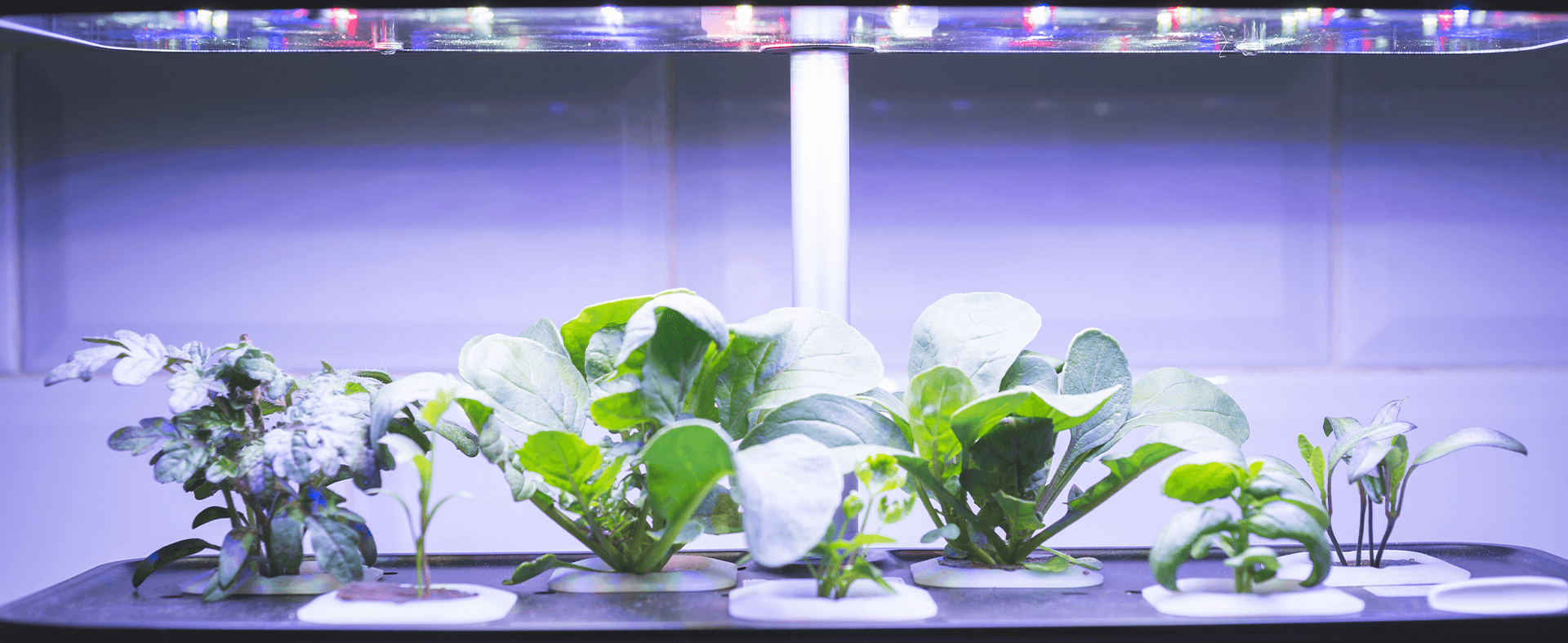 CES 2025 once again lived up to its reputation as the ultimate showcase of cutting-edge technology.