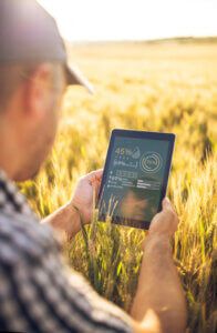 Male farmer looking at data on a laptop in his wheat field.